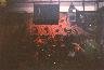 The Hurvinek + someone on bass (Veverka in the dark) 18. 4. 1998, RC Pohoda - Vod�any